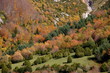 Otoño Pirineo Aragones