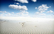 desert landscape