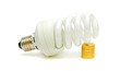 Energy saving light bulb and money