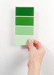 Green paint swatches Green paint swatches