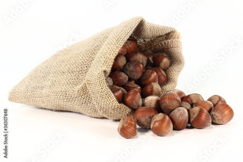 Foto: Haselnüsse Haselnüsse