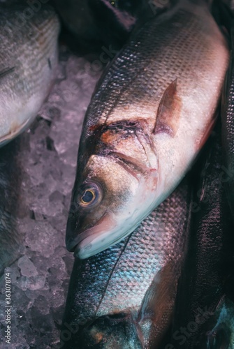 Foto: Frischer Fisch Frischer Fisch