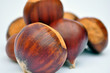 Castagne marroni in autunno Castagne marroni in autunno