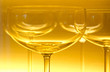 Champagne Glass