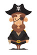Pirate Captain