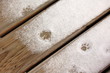 schneespuren schneespuren