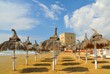 La Torre