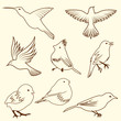 bird set