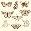 butterfly set