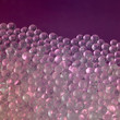 translucent globules in violet back
