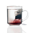 glass teacup with tea bag