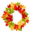 Autumnal leaves frame Autumnal leaves frame