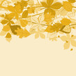 Autumnal leaves background Autumnal leaves background