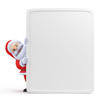 3d rendered illustration of a santa claus