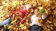 Autumn sun