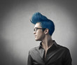 Fashion hairstyle