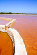 Formentera Ses Salines saltworks red water Formentera Ses Salines saltworks red water
