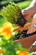 Gartenarbeit