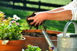 Gartenarbeit