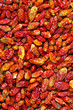 Dried Chili Peppers