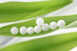Homéopathie - Granules sur plante médicinale