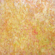 Floral Impressionist Abstract Background Floral Impressionist Abstract Background