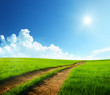 ground road and sunny day