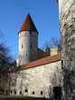 Stadtmauer Tallinn Stadtmauer Tallinn