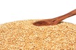 Quinoa
