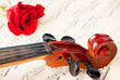 Violin on notes