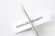 Schuldenschnitt