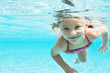 Photo: Escaping the summer sun in the pool Escaping the summer sun in the pool