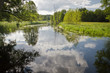 Summer view at the river