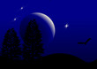 Deep Moon Bat