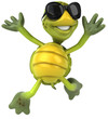 Tortue et lunettes de soleil