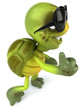 Tortue et lunettes de soleil Tortue et lunettes de soleil