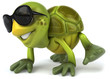 Tortue et lunettes de soleil Tortue et lunettes de soleil