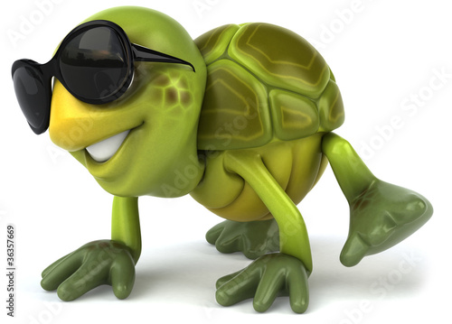 Illustration: Tortue et lunettes de soleil Tortue et lunettes de soleil