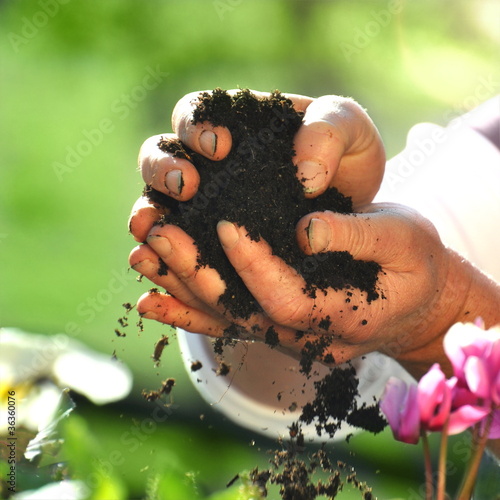 Photo: Blumenerde Blumenerde