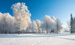 Winter park in snow Winter park in snow