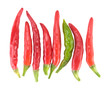 Red and green chili pepper