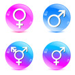 Vector: male, female, transgender symbol male, female, transgender symbol