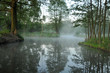 Nebel im Spreewald