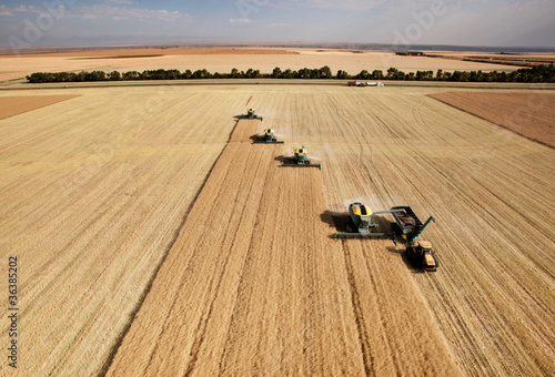 Foto: Aerial View of Harvest Aerial View of Harvest