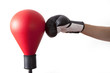 pungiball with a glove