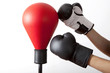 pungiball with two gloves