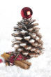 Pine cone Christmas tree and cinnamon sticks. Pine cone Christmas tree and cinnamon sticks.