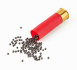 shotgun shells