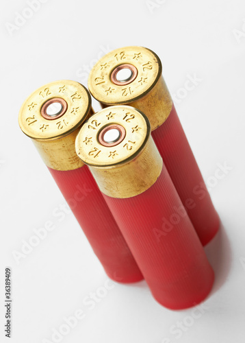 Photo: shotgun shells shotgun shells