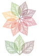Photo en ligne au meilleur prix colorful leaf flower, vector